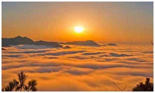 2026最新龙岛异兽平民攻略官网入口在哪？附平民开荒技巧